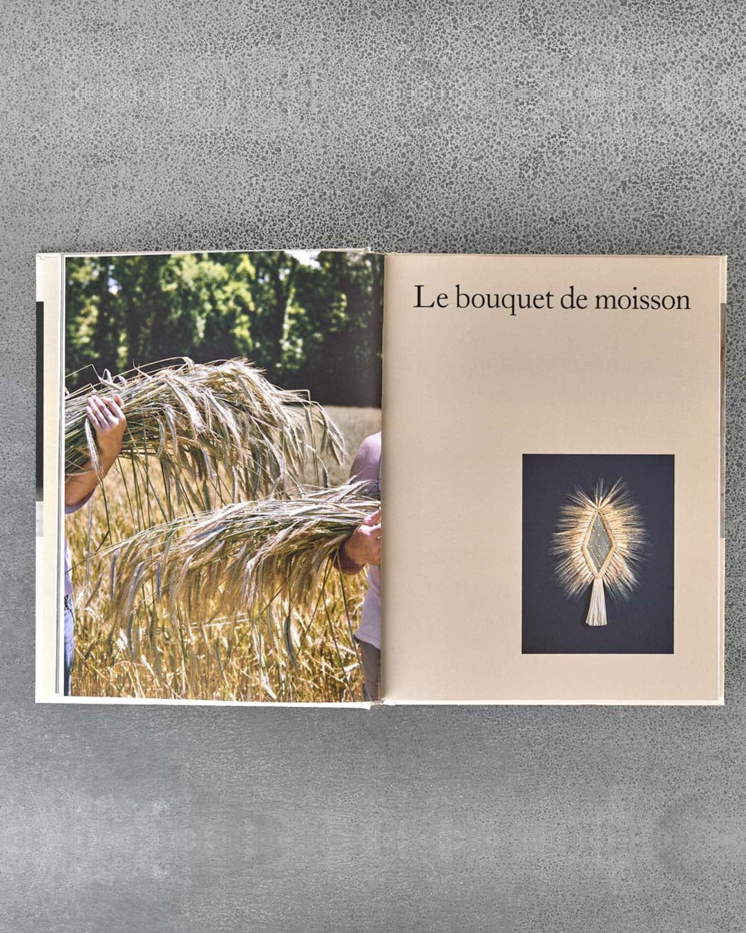 Ulmer - Book - Savoir & Faire