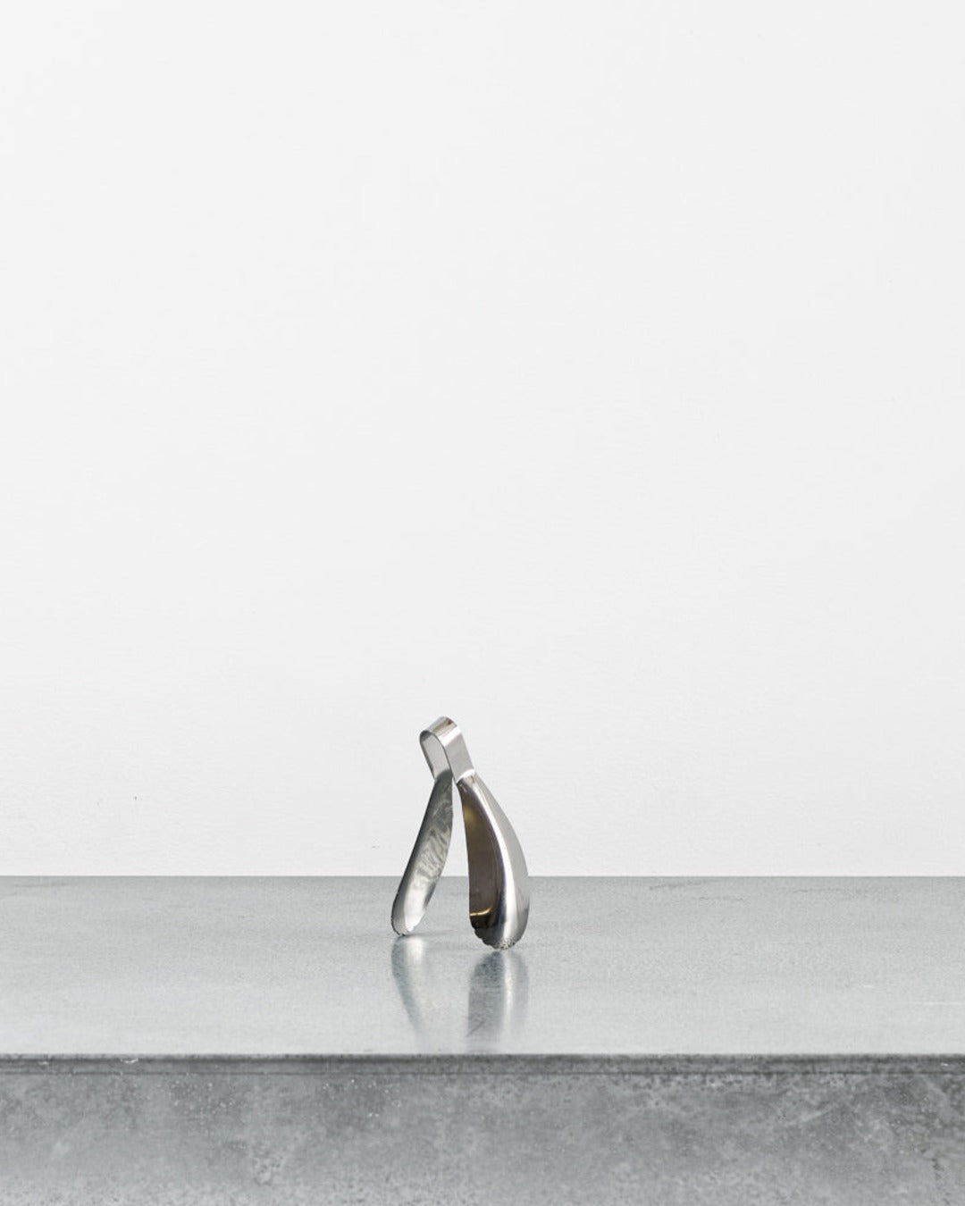 Stainless steel mold tongs