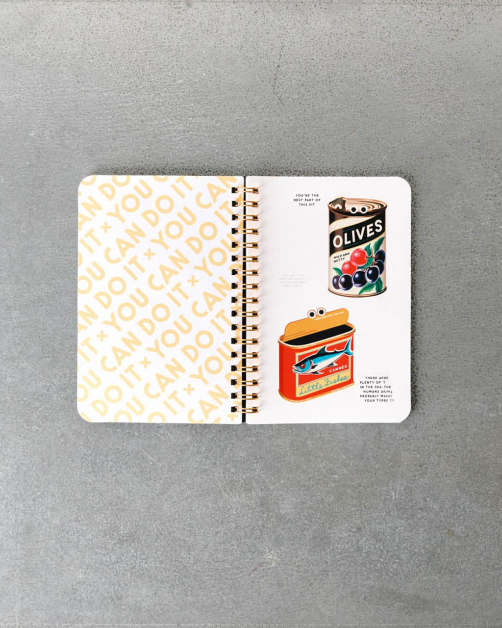 Book - You Can Do It Googly Sticker Book