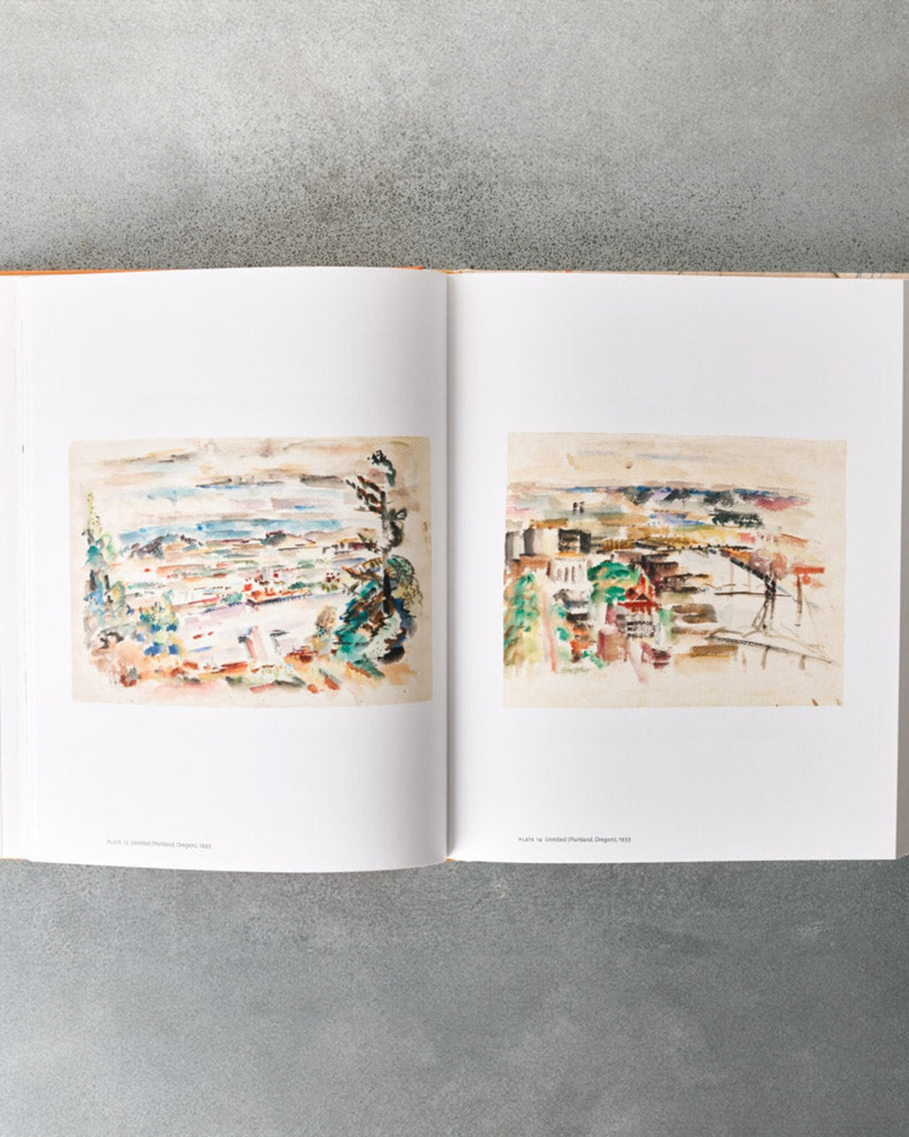 Book - Mark Rothko : Paintings on Paper