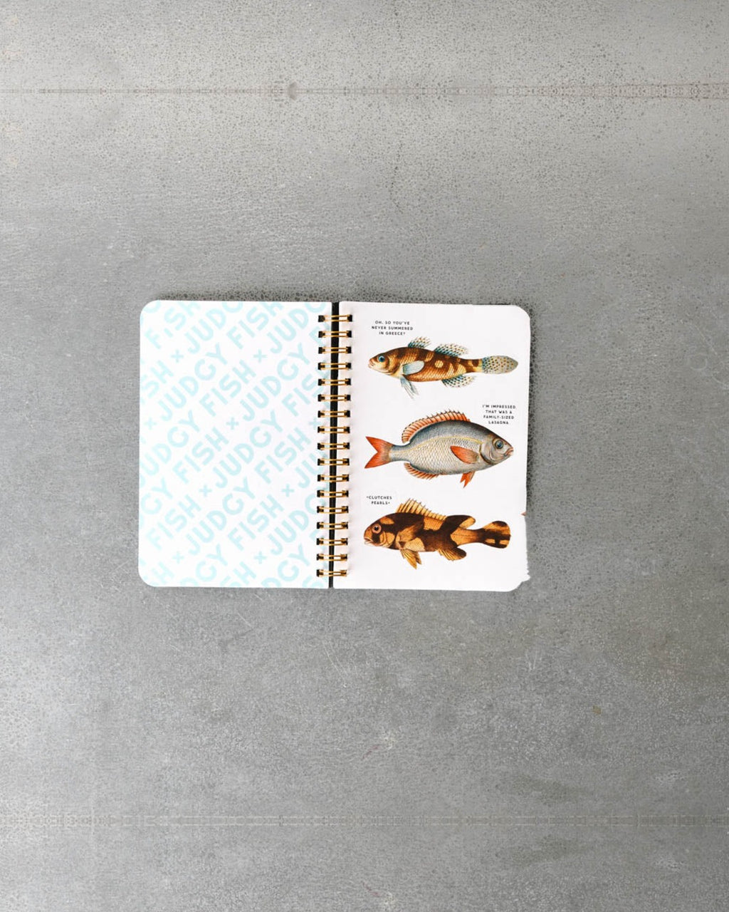 Book - Judgy Fish Sticker Book