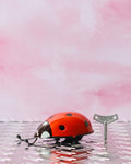 Die Blechfabrik - Toy - Red Ladybug