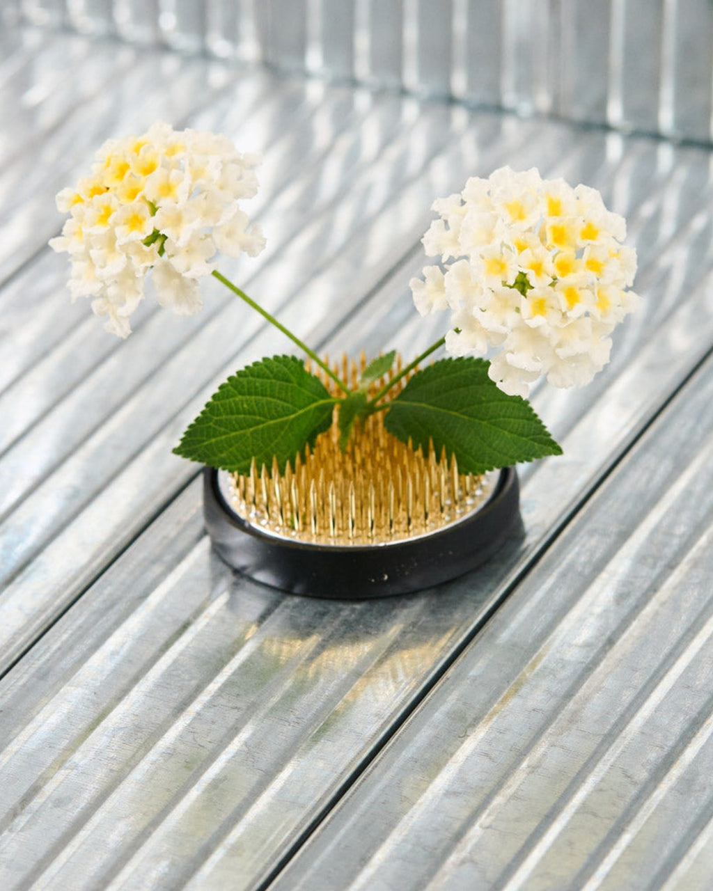 Niwaki - Kenzan Pique À Fleurs