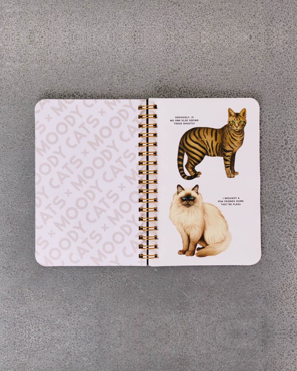 Abrams - Book - Moody Cats Stickers Book