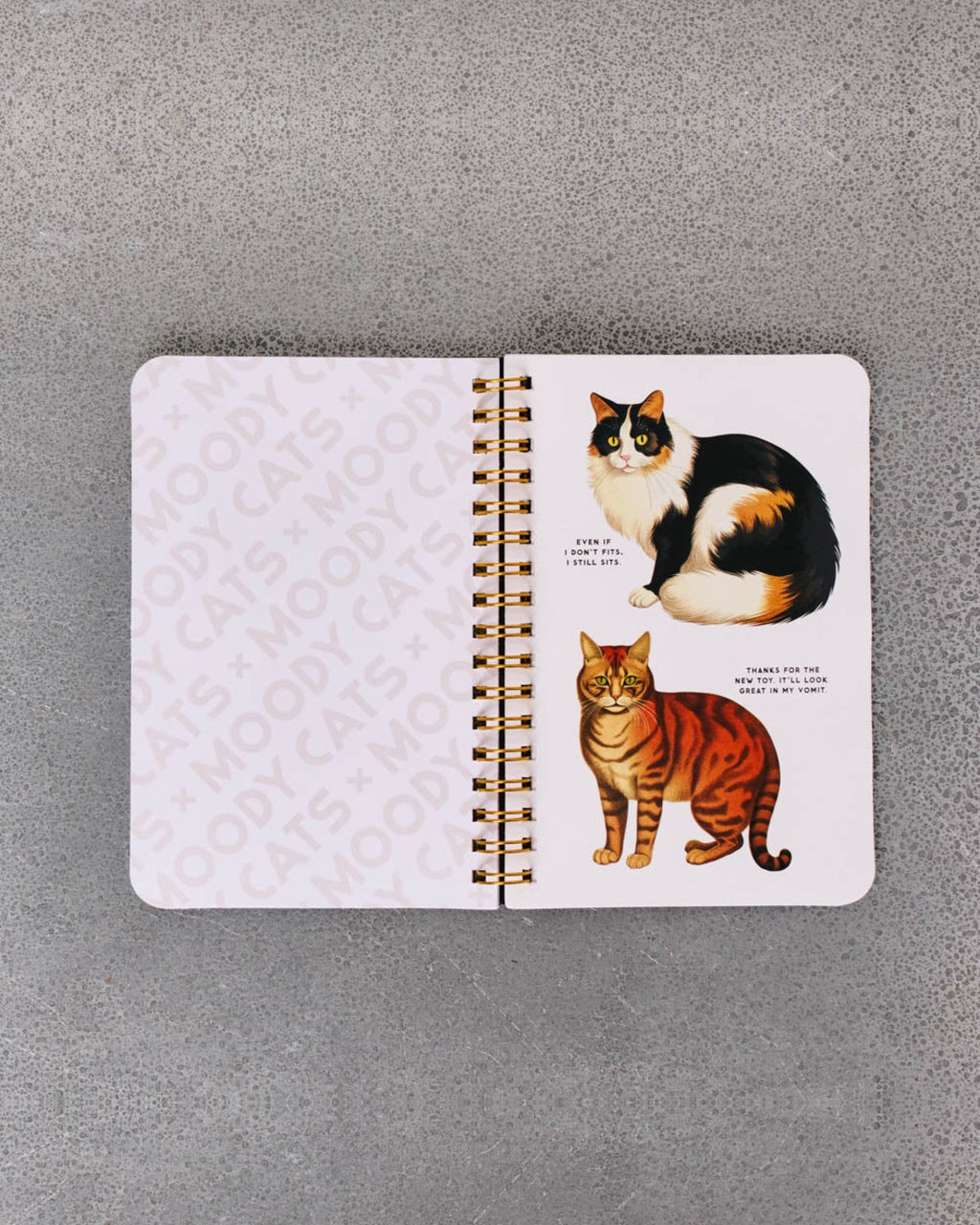 Abrams - Book - Moody Cats Stickers Book
