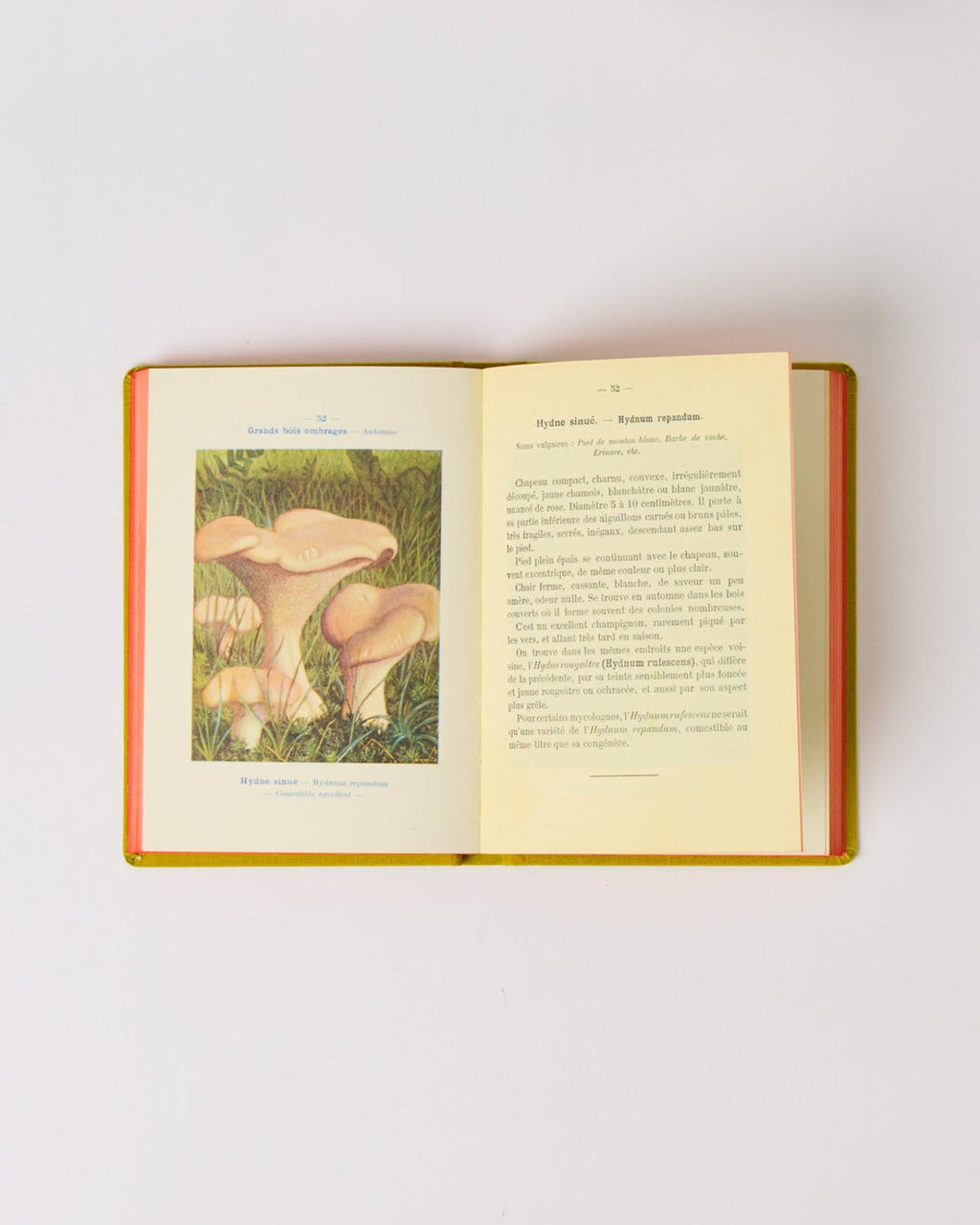 Bibliomane - Livre Atlas Champignons