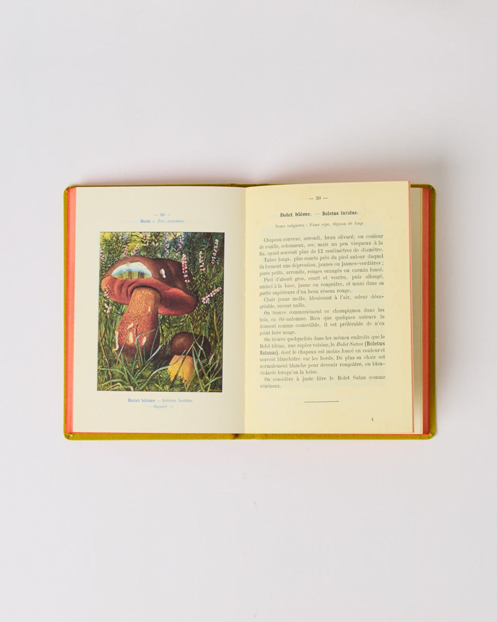 Bibliomane - Livre Atlas Champignons