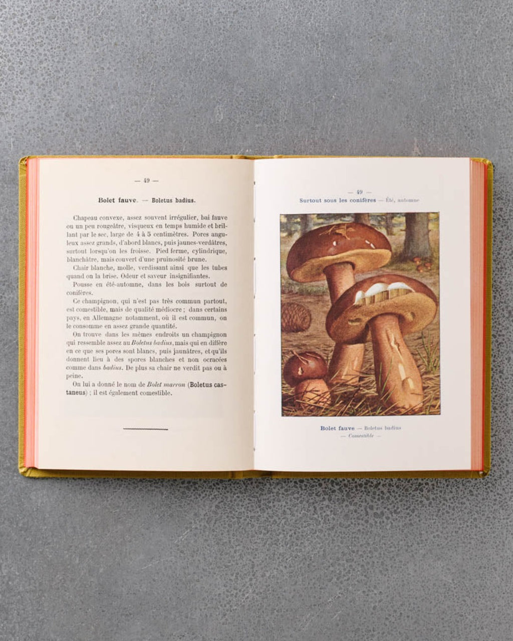 Bibliomane - Livre Atlas Champignons