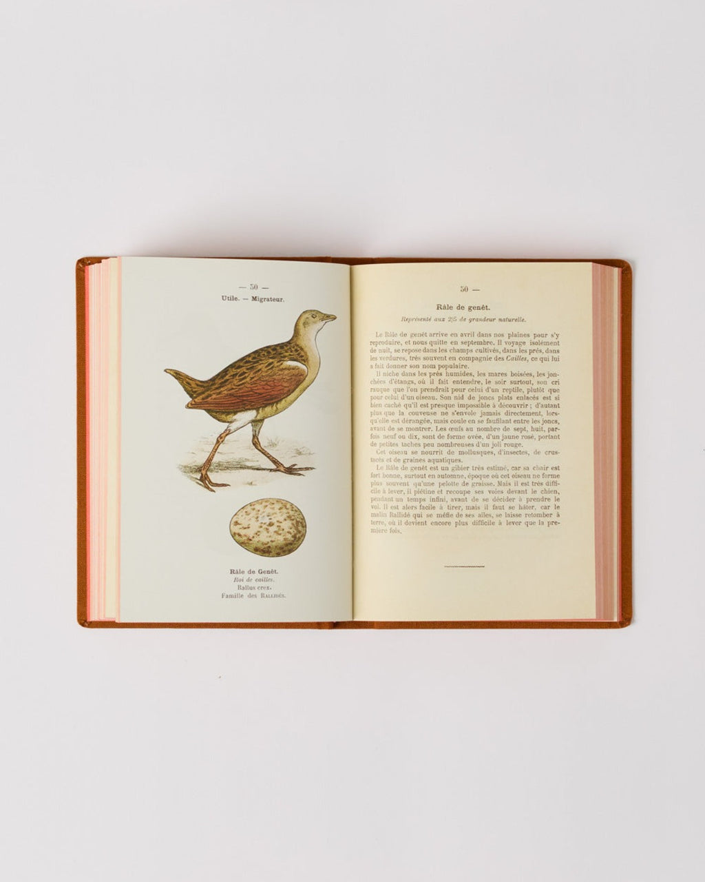 Bibliomane - Livre Atlas Oiseaux De France