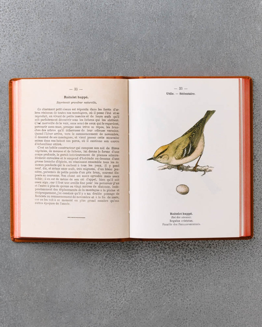 Bibliomane - Livre Atlas Oiseaux De France