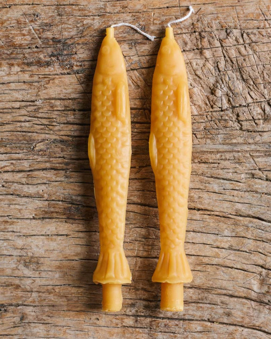 Tinned Candle - Fish Candle