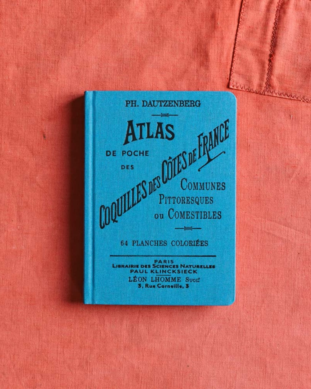 Bibliomane - Atlas Book - Coastal Shells