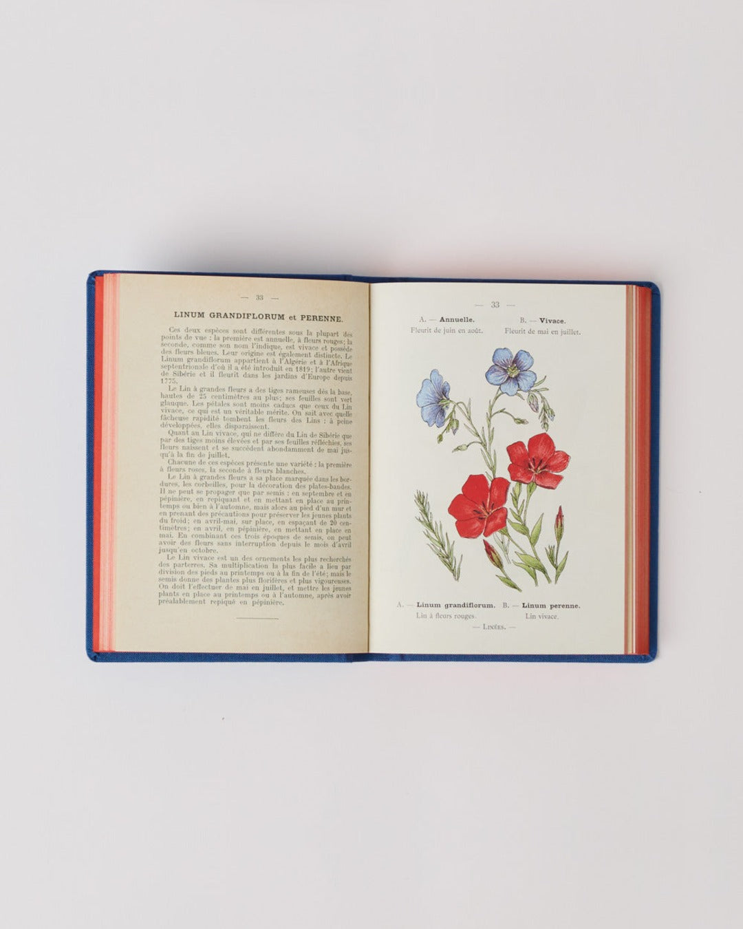 Bibliomane - Atlas Book - Garden Flowers