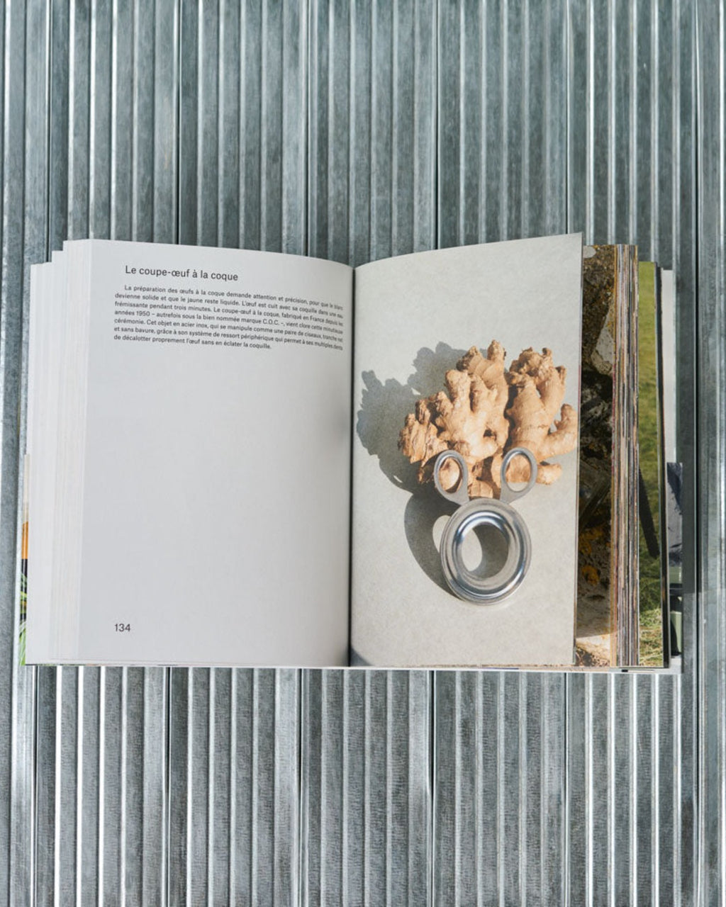 L'Amateur - Book - History of Objects