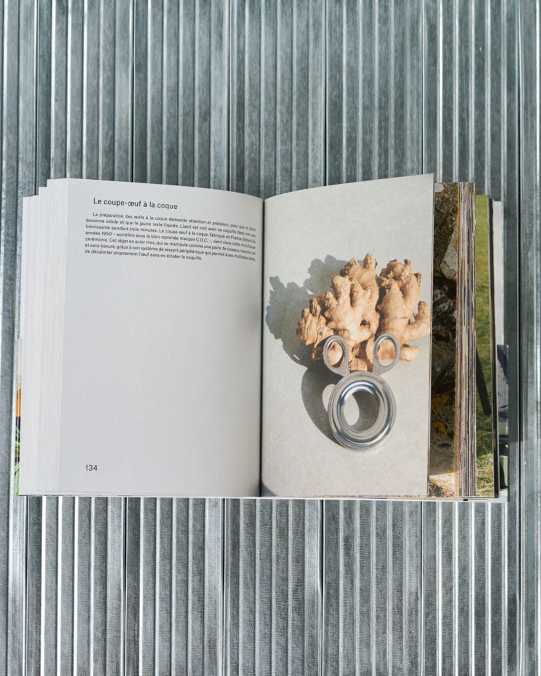 L'Amateur - Book - History of Objects