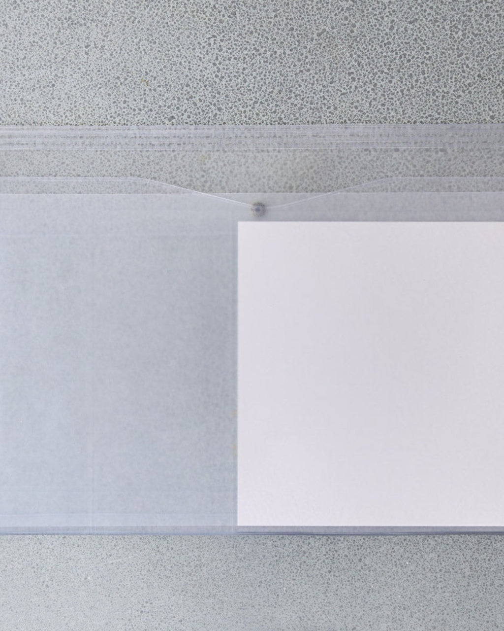 Náhe - Multipurpose Document Pouch - Clear