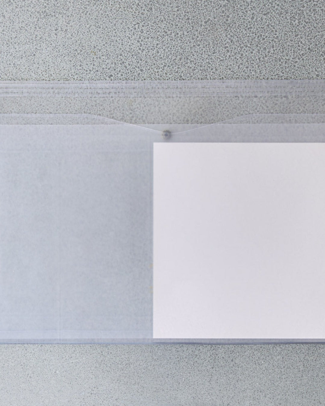Náhe - Multipurpose Document Pouch - Clear