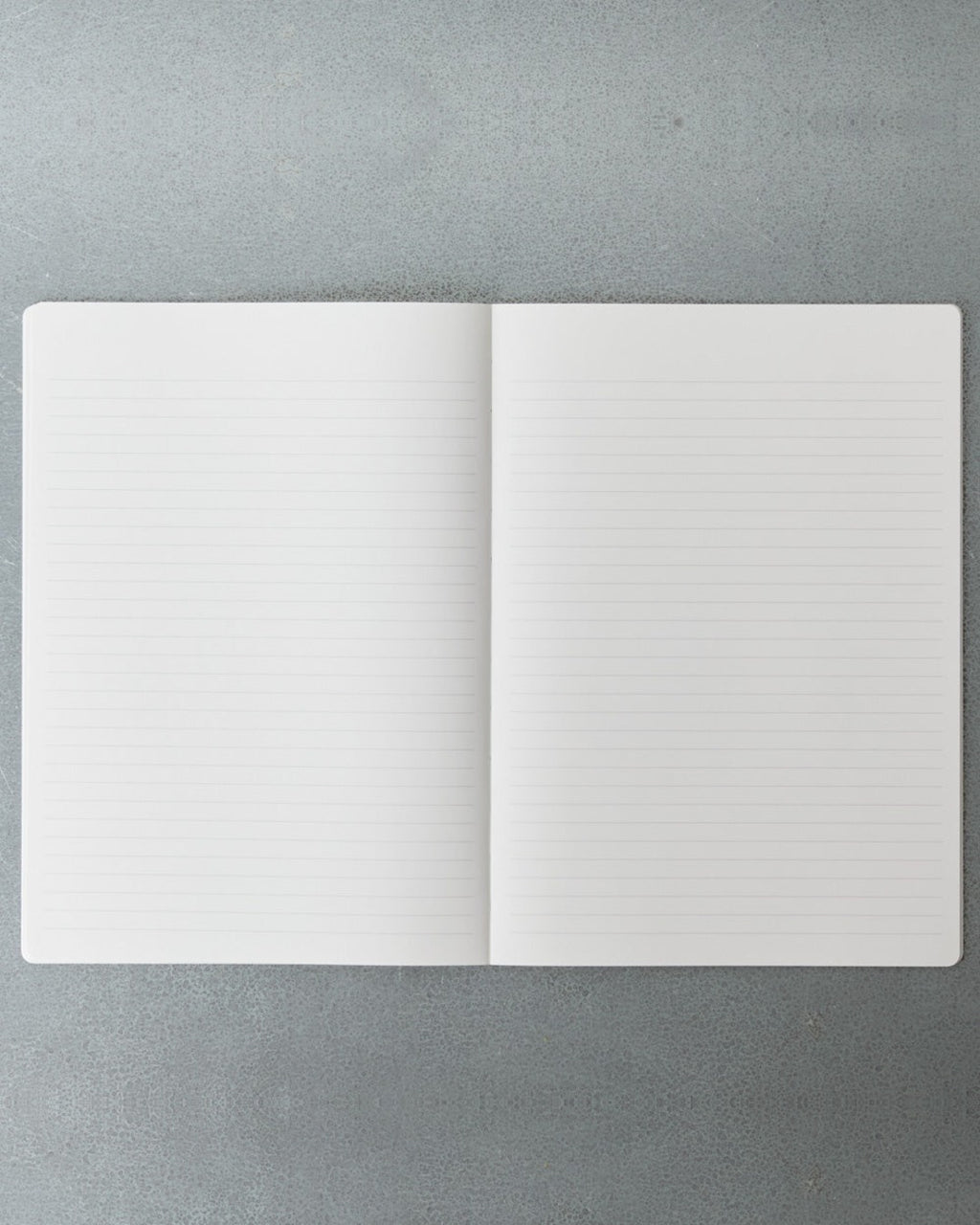 Stálogy - Carnet Standard - Bleu