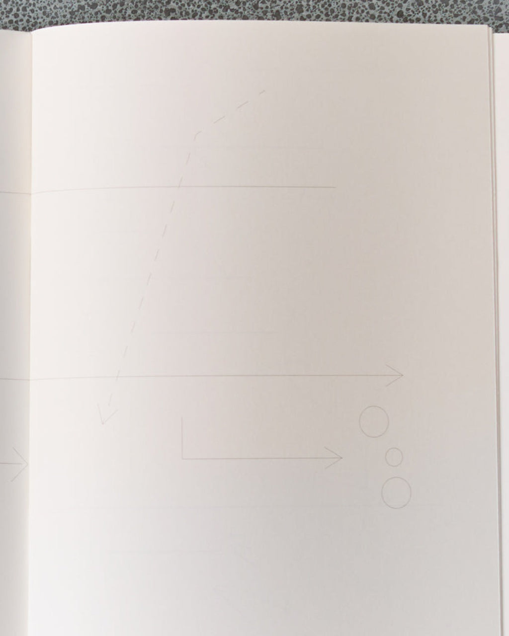 Edition Julie Joliat - Booq Notebook - Blue & Violet
