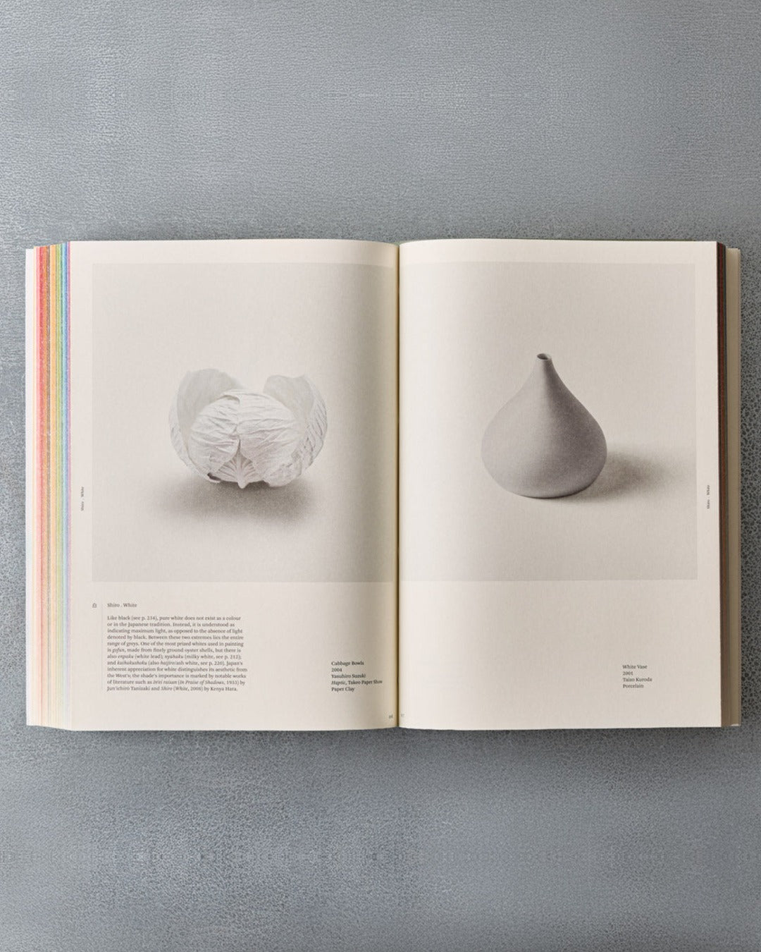 Phaidon - Livre Iro