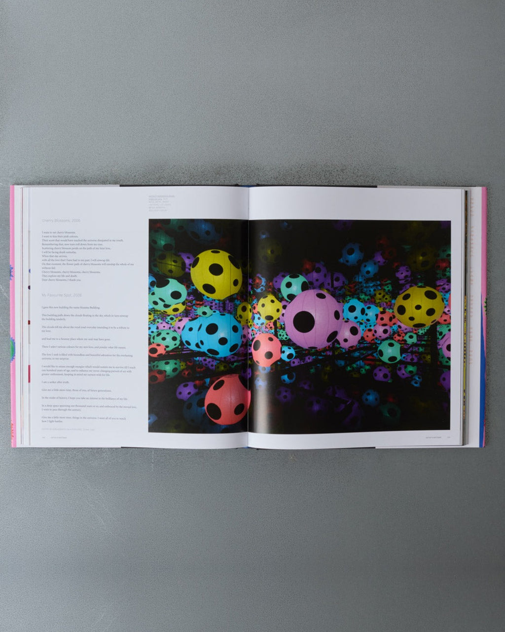 Phaidon - Yayoi Kusama Livre