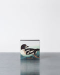 Archivist - Box of 125 matches - Duck