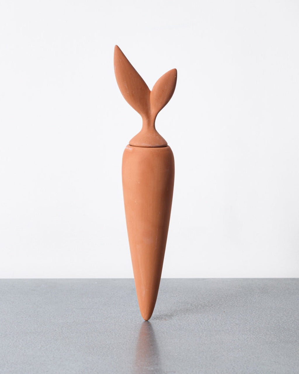Kikkerland - Cone D'Arrosage Carotte