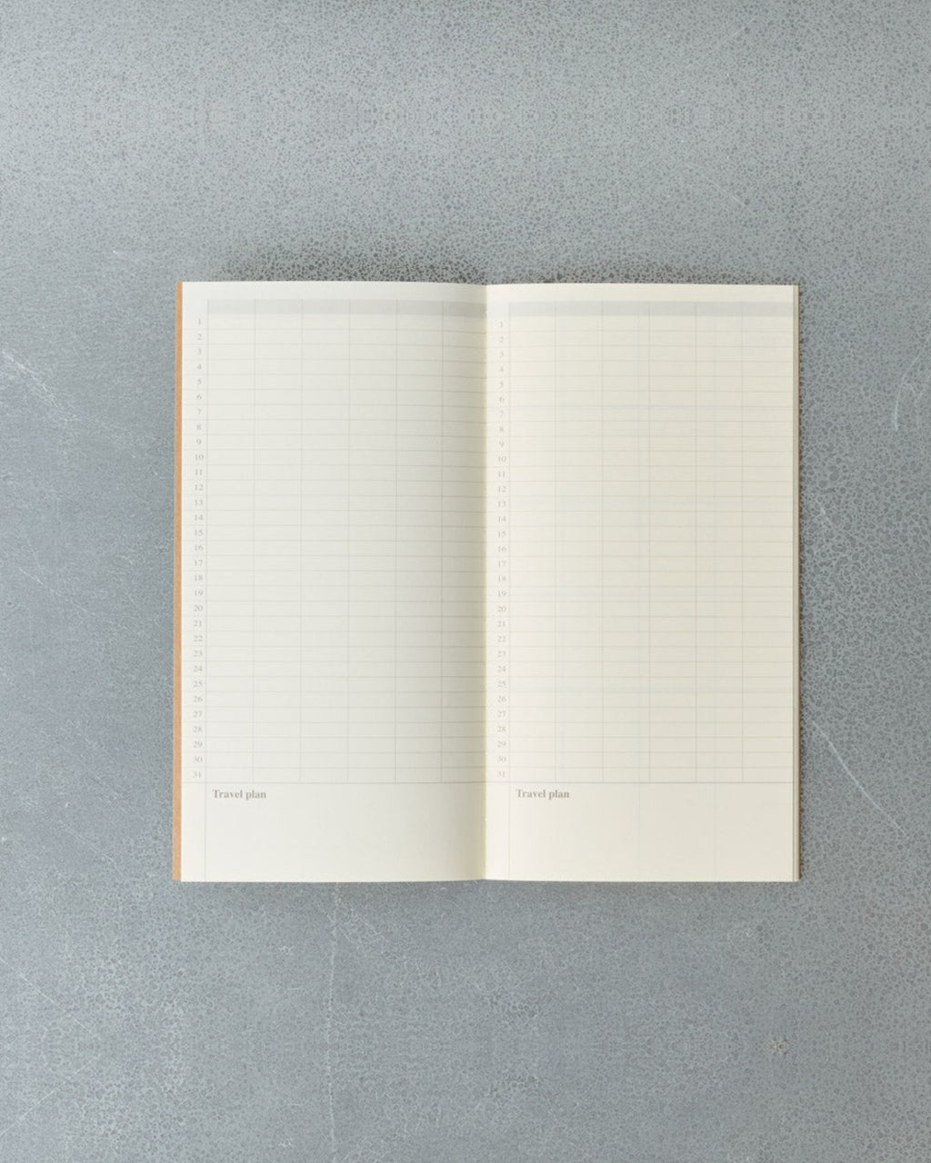 Traveler'S Notebook - Recharge De Carnet Agenda
