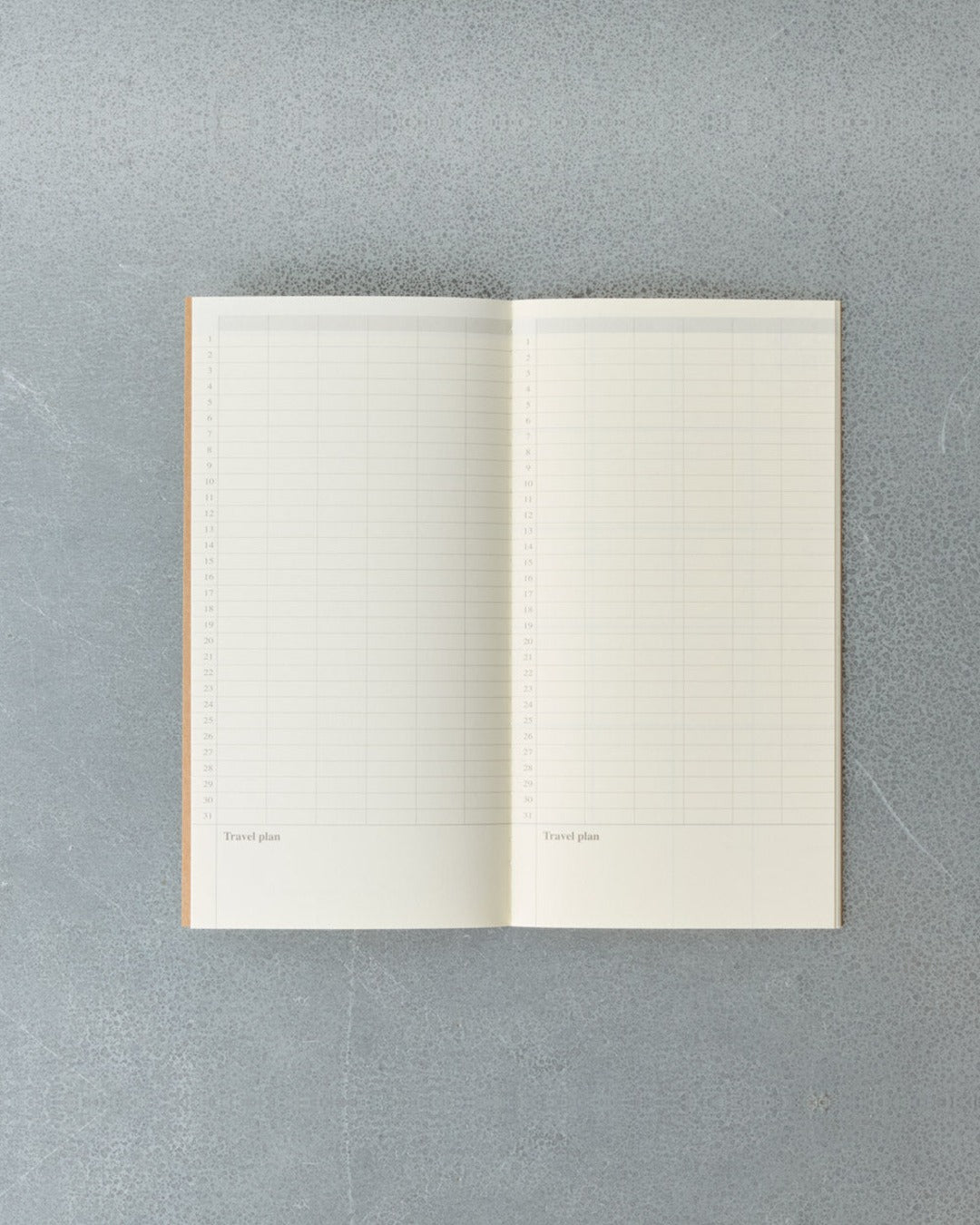 Traveler'S Notebook - Recharge De Carnet Agenda
