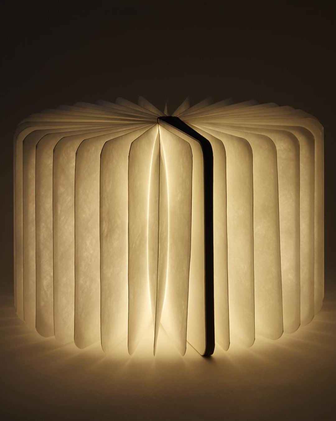 Lumio - White & Wood