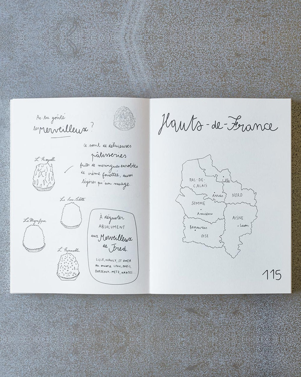Hachette Editions - Book - Carnet du voyageur France