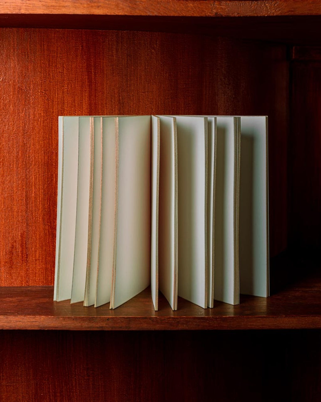 Slow - Peter Pan notebook
