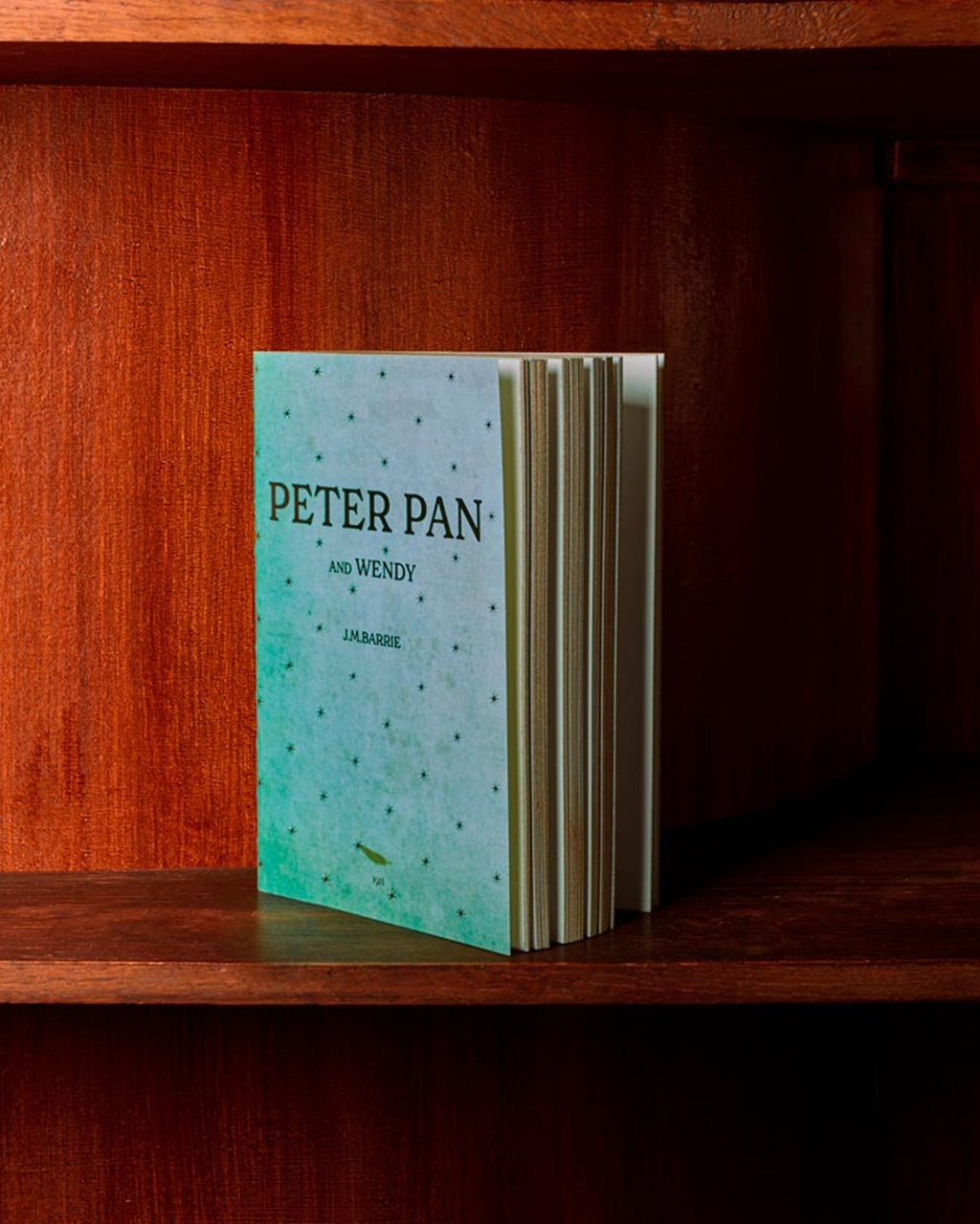 Slow - Peter Pan notebook