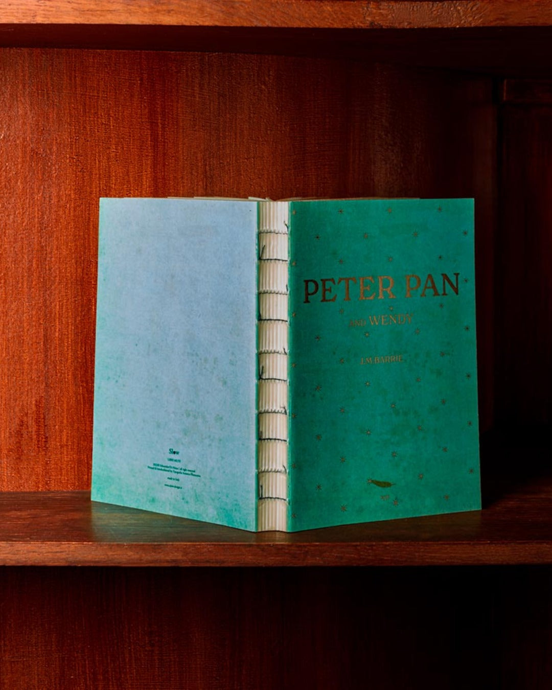 Slow - Peter Pan notebook