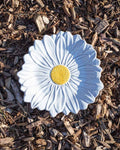 Bordallo - Daisy plate