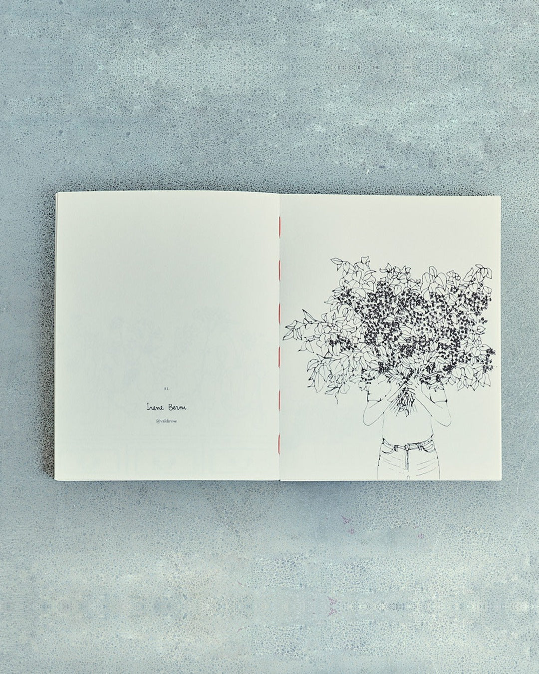 Hachette Editions - Book - Fleurs by Zoé de las Cases
