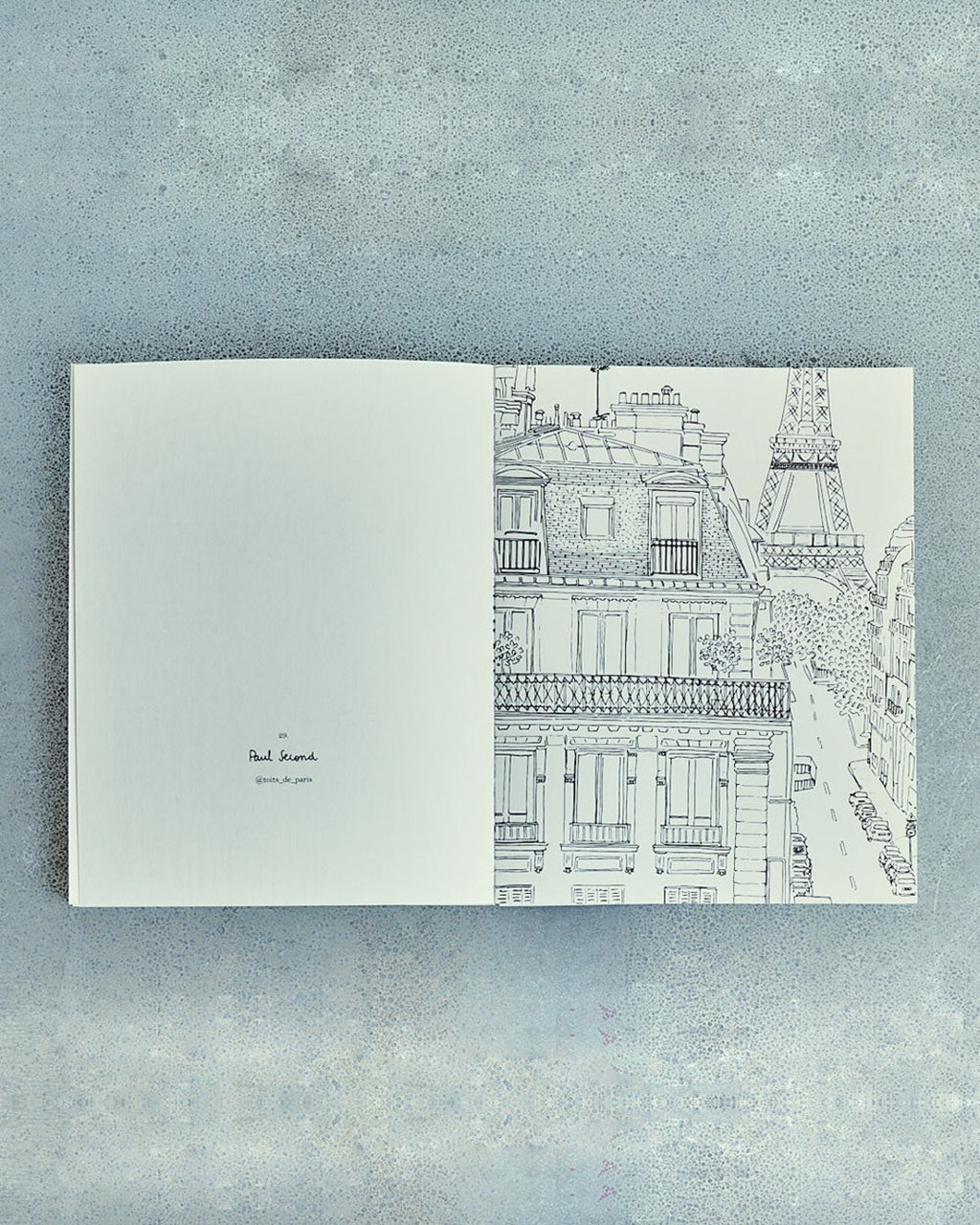 Hachette Editions - Book - Paris by Zoé de las Cases
