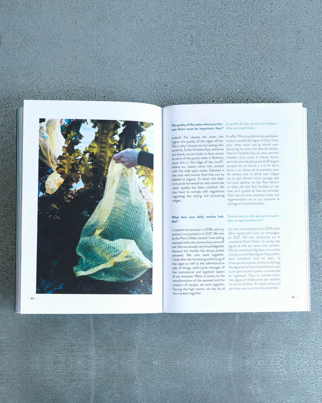 Aweek Abroad - Livre A Week Abroad Bretagne Sud