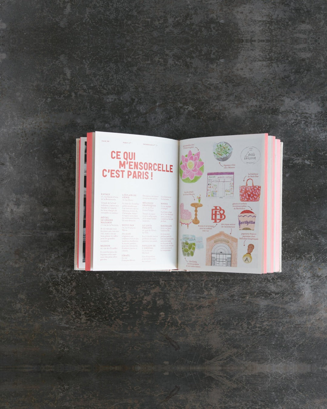 Hachette Editions - Book - Un dimanche à Paris by Zoé de las Cases
