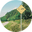 #A52C2C